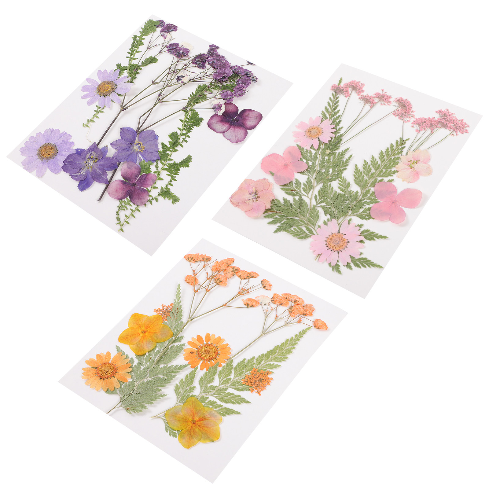Dried Flower Pressed - Flores Secas Decorativas, Material de Resina