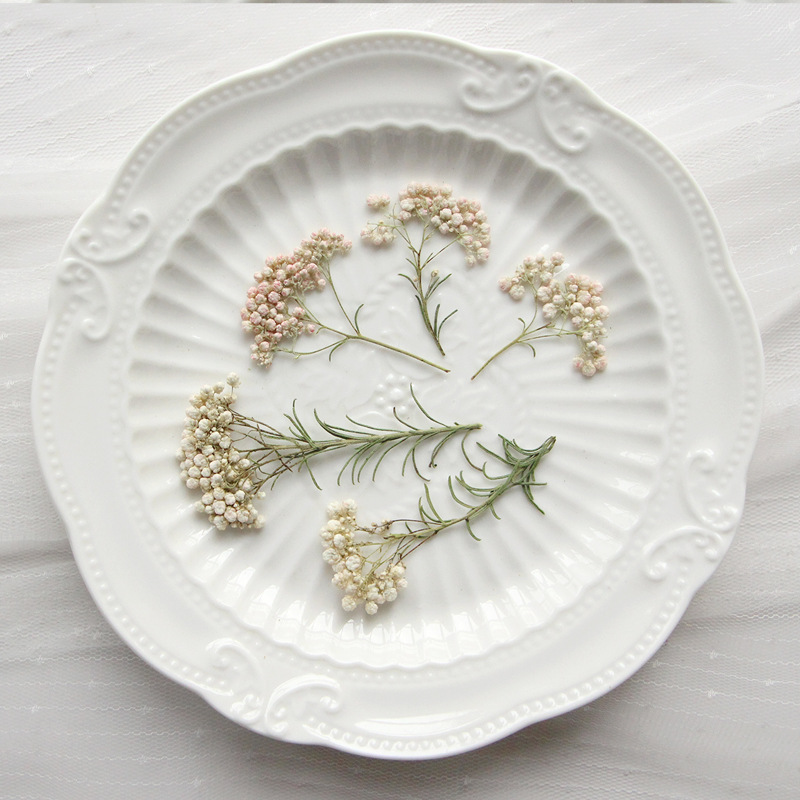 Dried Flower Pressed - 12 piezas, Ramas de flor de