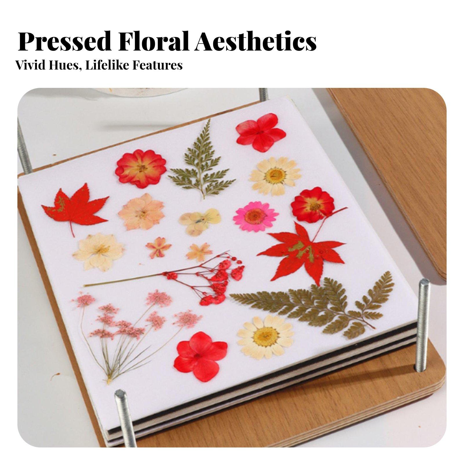 Kit de prensa de flores botáni - Dried Flower Pressed reseña y precio