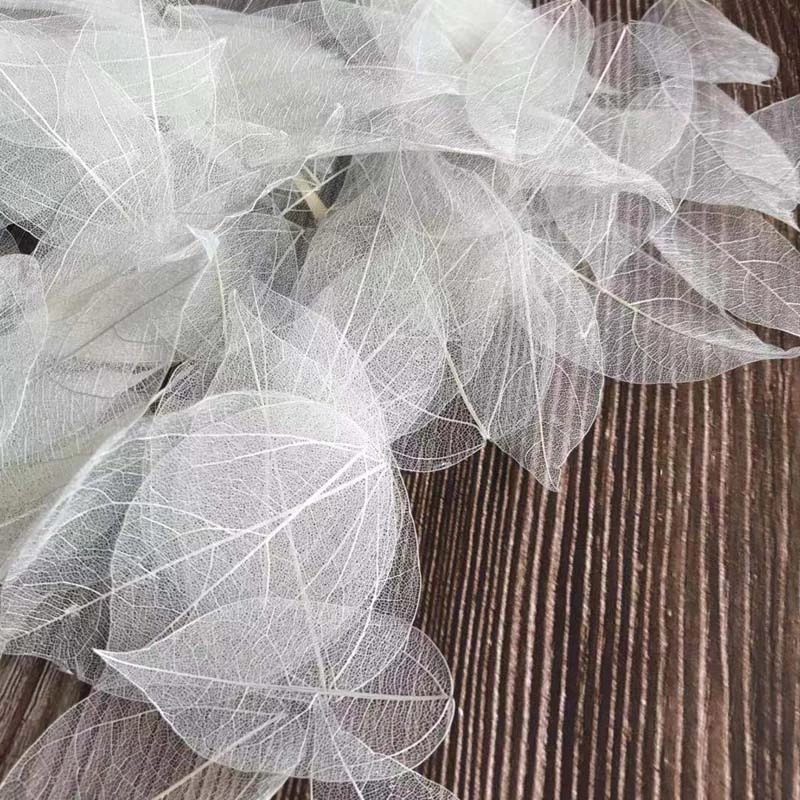 5 ~ 9CM * 2 ~ 3,5 CM, 100 unid - Dried Flower Pressed reseña y precio