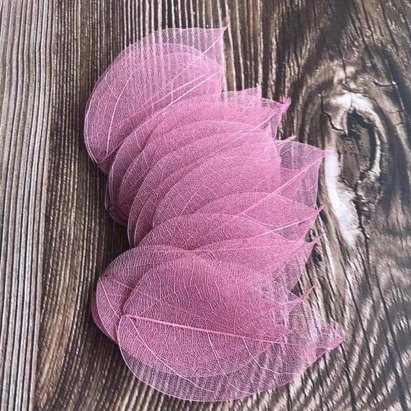 5 ~ 9CM * 2 ~ 3,5 CM, 100 unid - Dried Flower Pressed reseña y precio