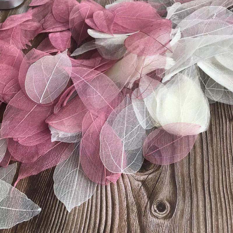 5 ~ 9CM * 2 ~ 3,5 CM, 100 unid - Dried Flower Pressed reseña y precio