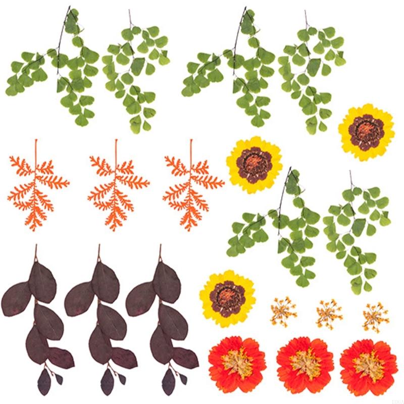 Flor prensada seca para moldes - Dried Flower Pressed reseña y precio