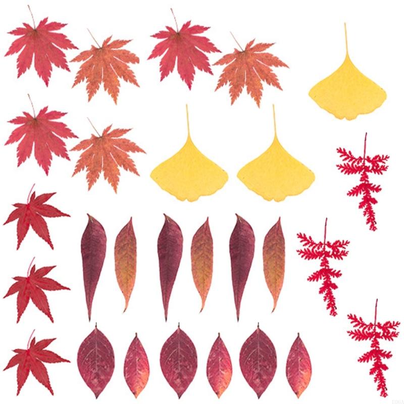 Flor prensada seca para moldes - Dried Flower Pressed reseña y precio