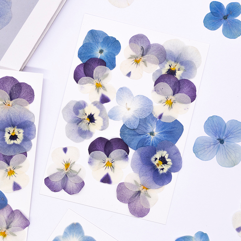 12 Piezas de Flores Secas de V - Dried Flower Pressed reseña y precio