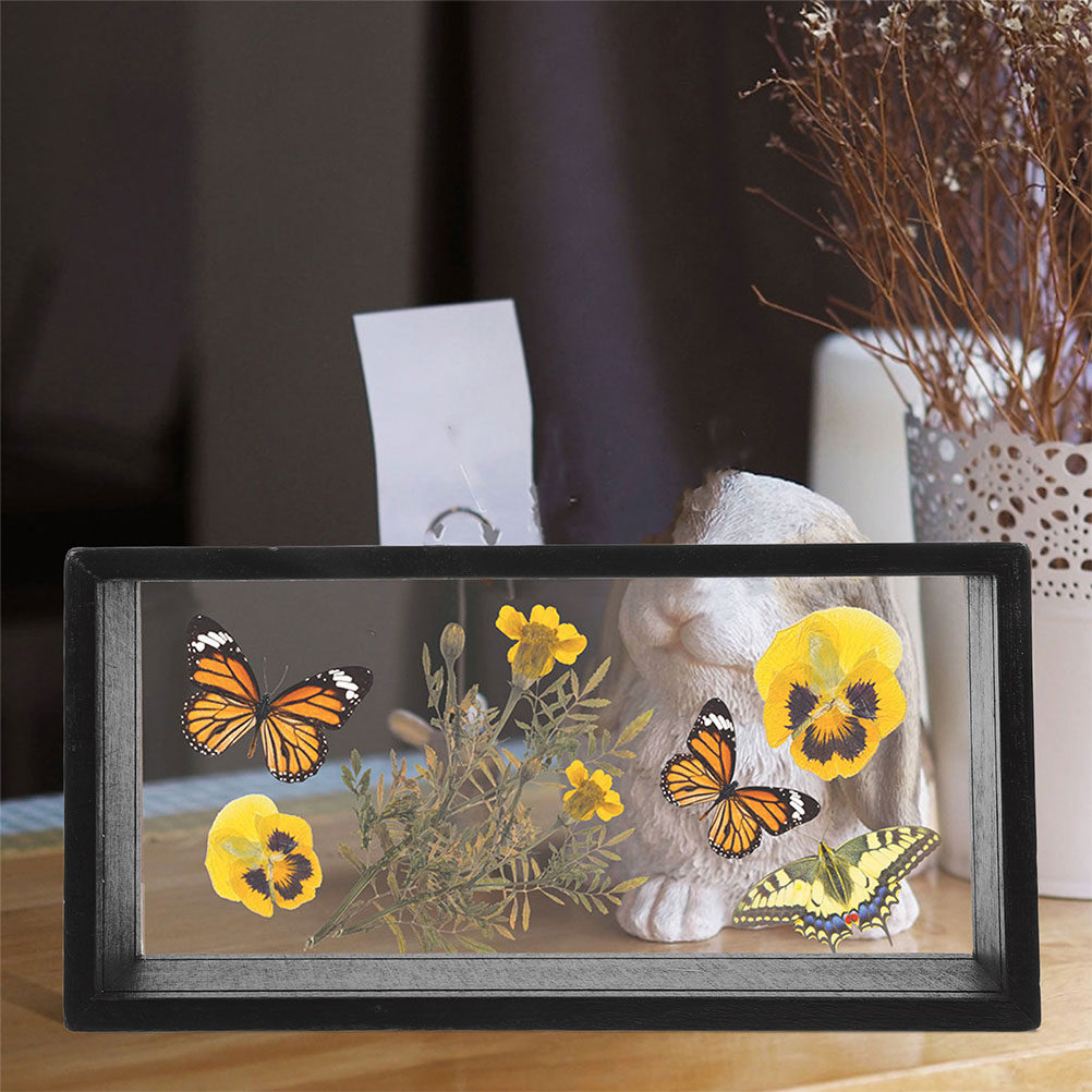 2 unidades de marcos creativos - Dried Flower Pressed reseña y precio