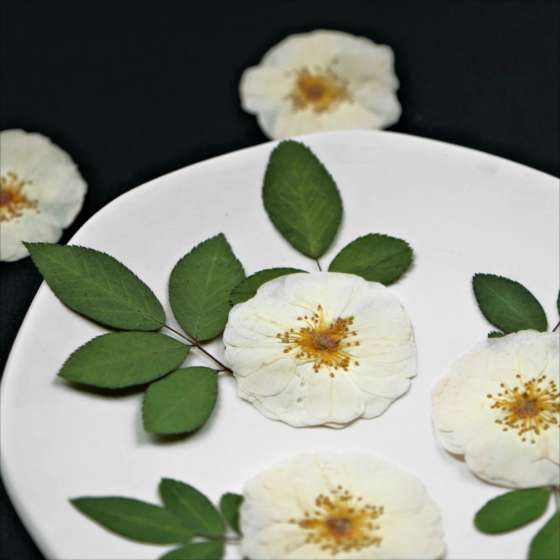 6 uds.,9 Uds., flores prensada - Dried Flower Pressed reseña y precio