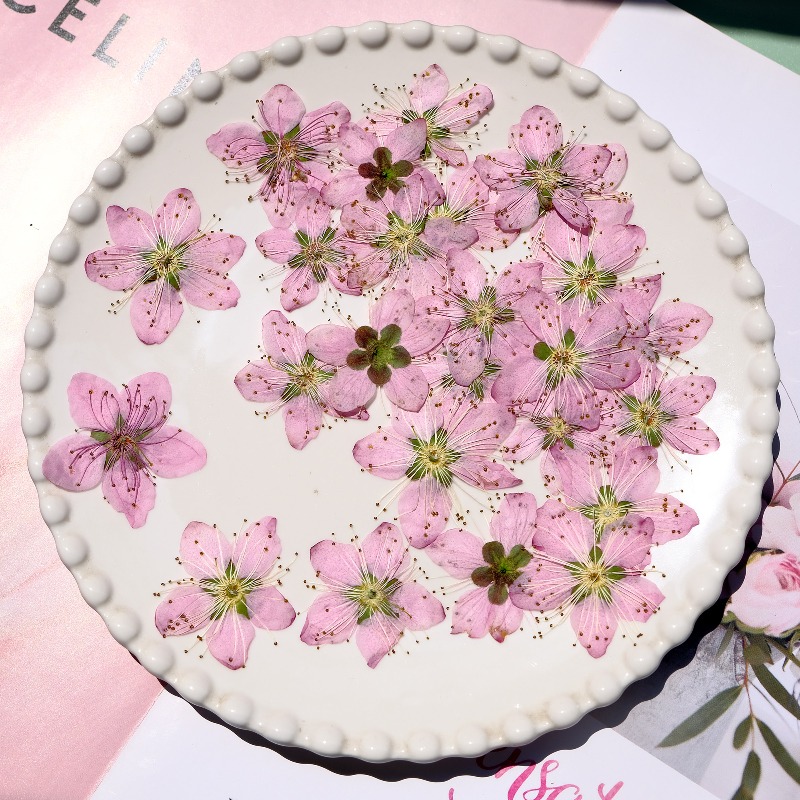Flores Secas Prensadas de Flor - Dried Flower Pressed reseña y precio