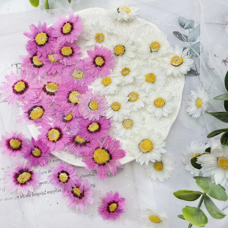 Marcapáginas de flores prensad - Dried Flower Pressed reseña y precio