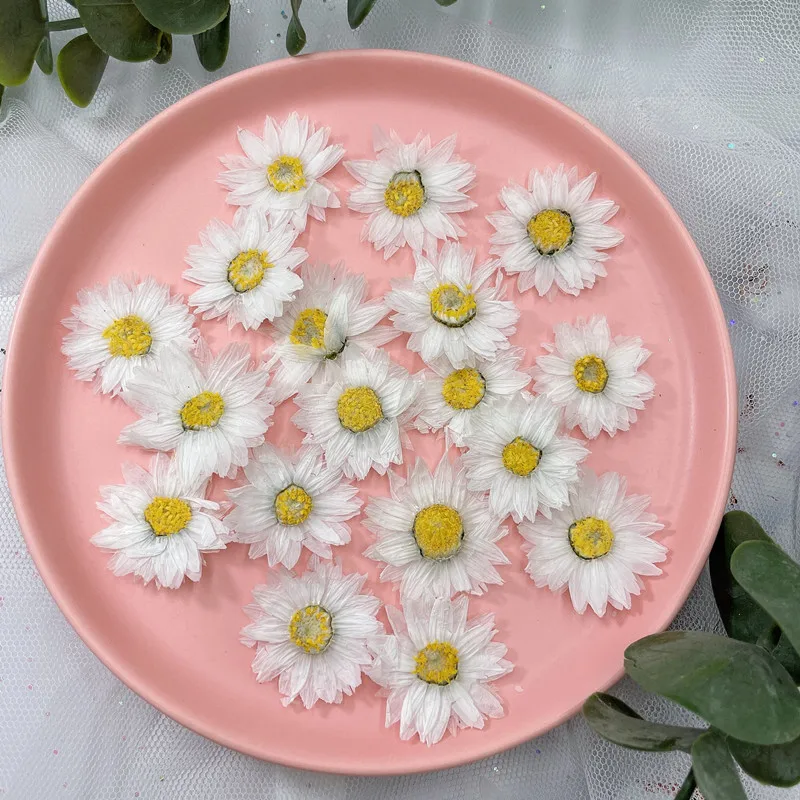 Marcapáginas de flores prensad - Dried Flower Pressed reseña y precio