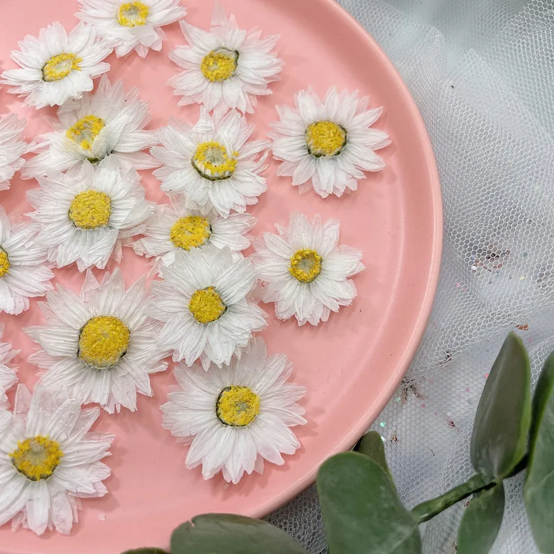 Marcapáginas de flores prensad - Dried Flower Pressed reseña y precio