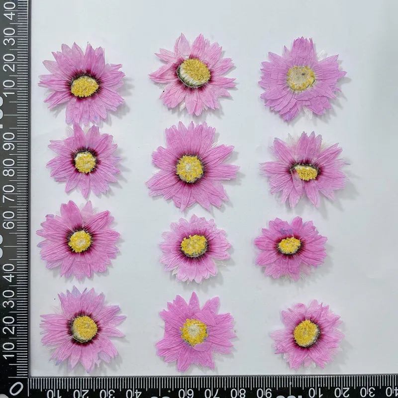 Marcapáginas de flores prensad - Dried Flower Pressed reseña y precio